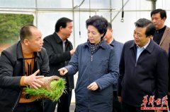 乌兰在永州调研：以产业发展和乡村善治夯实乡村振兴基础